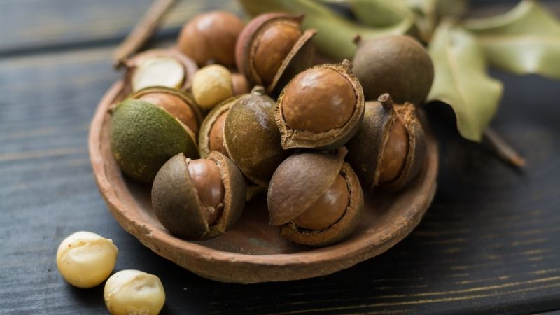 Best Macadamia Nuts India 2022